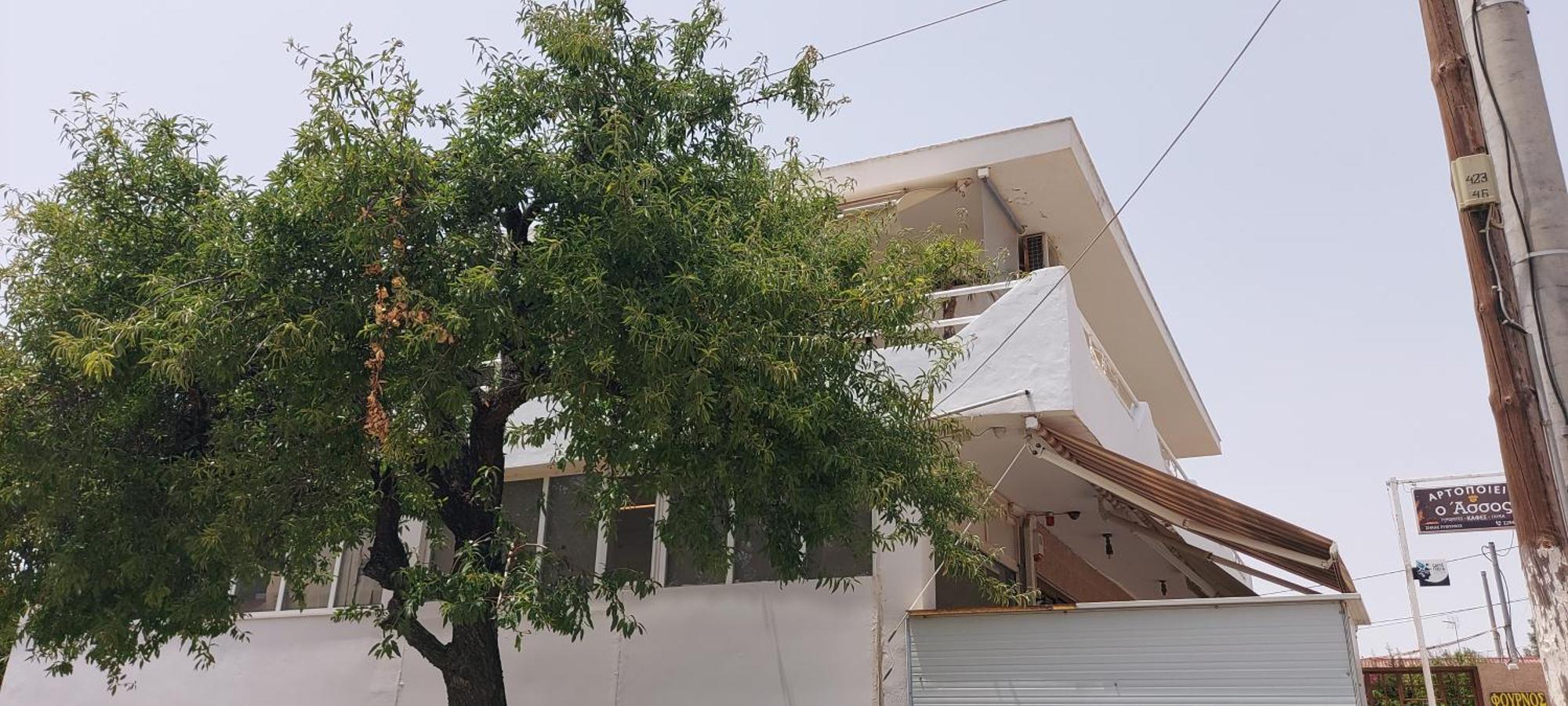 Rena'S Sea View Apartment Artemida  Ngoại thất bức ảnh